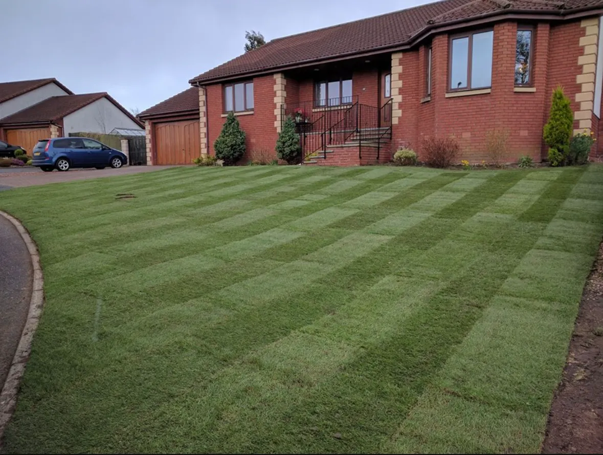 Recent lawns & artificial grass project in Farnborough, Hampshire
